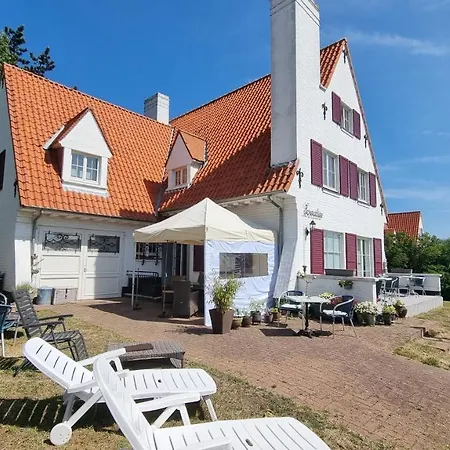 Fernadine 2*